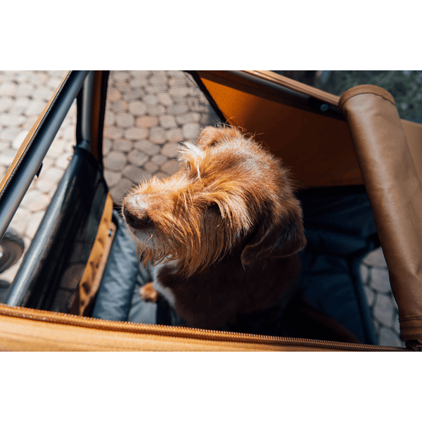 Bâche anti-pluie pour remorque Croozer Dog Enna - Cyclable