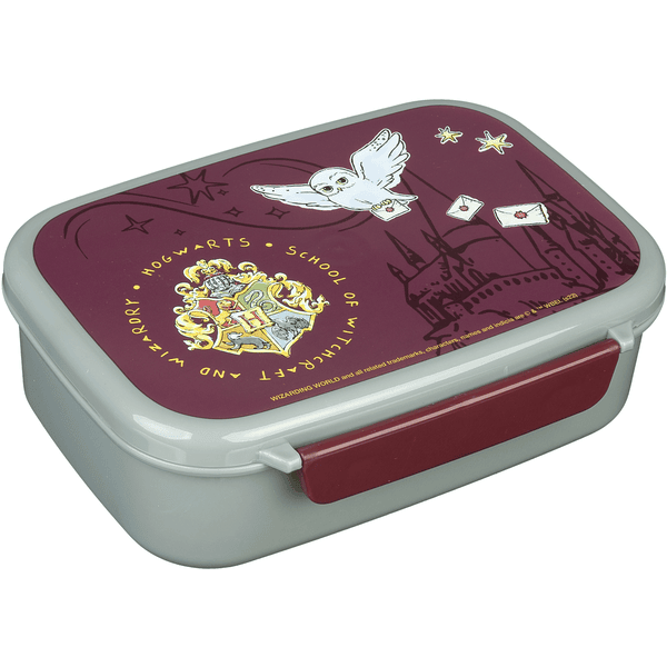 SCOOLI Harry Potter lunch box pinkorblue.nl
