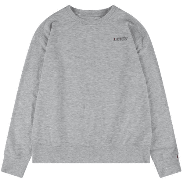 Levi's® Kids Sweatshirt grå 