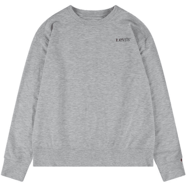 Levi's® Kids Sweatshirt grau 
