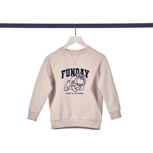 TOM TAILOR Sweatshirt Raglan Dusty Beige