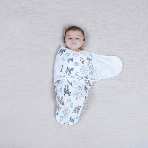 Aden and hotsell anais easy swaddle