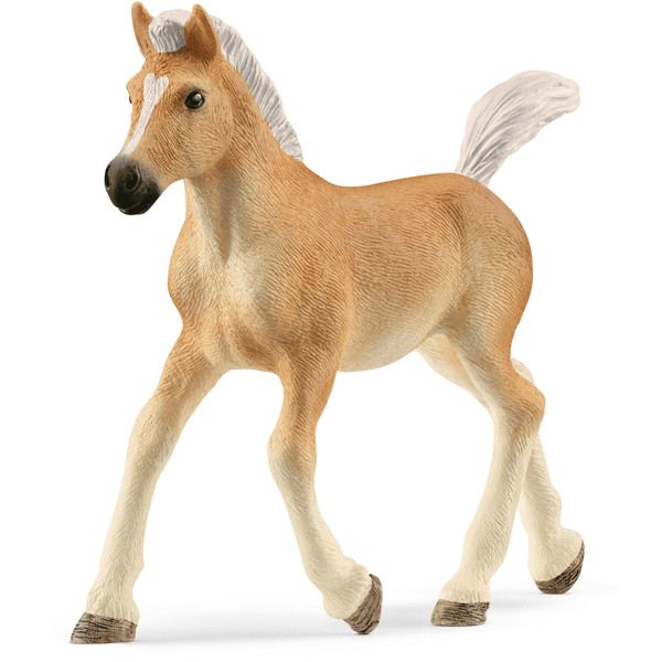 schleich ® Haflinger föl 13951