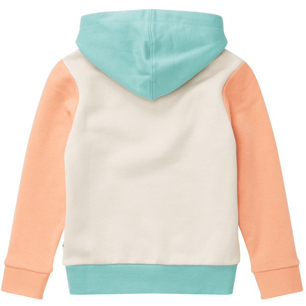 Hoodie 2024 pastel color