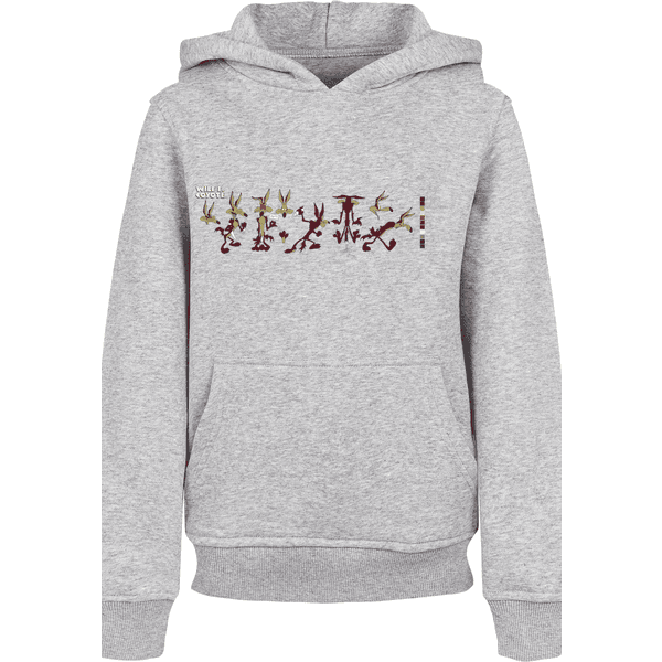 grey Colour heather Hoodie Code F4NT4STIC Tunes Looney