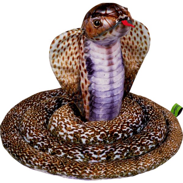 COPPENRATH Cobra - Nature Zoom sauvage