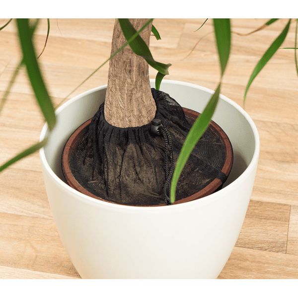 reer Filet protection des plantes noir Ø 30 cm