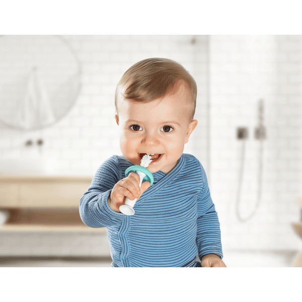 reer Trainer per lo spazzolamento dei denti Baby Care 