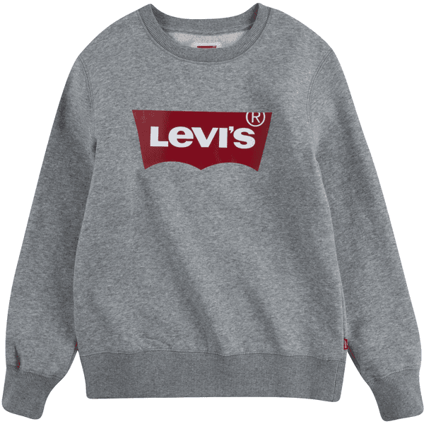 Felpa 2025 grigia levis