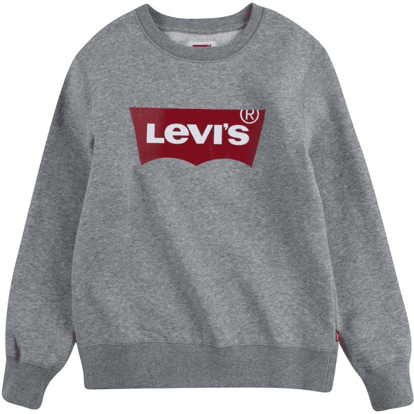Fruitig Smeltend Bezit Levi's® Kinder Sweatshirt grijs | pinkorblue.nl