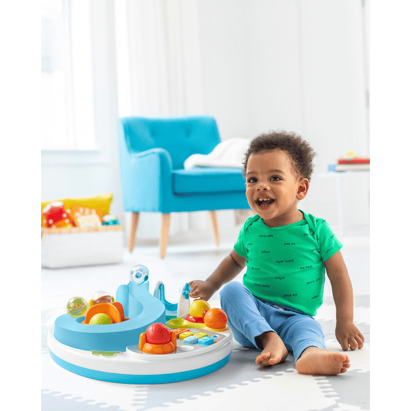 Fisher price cheap skip hop