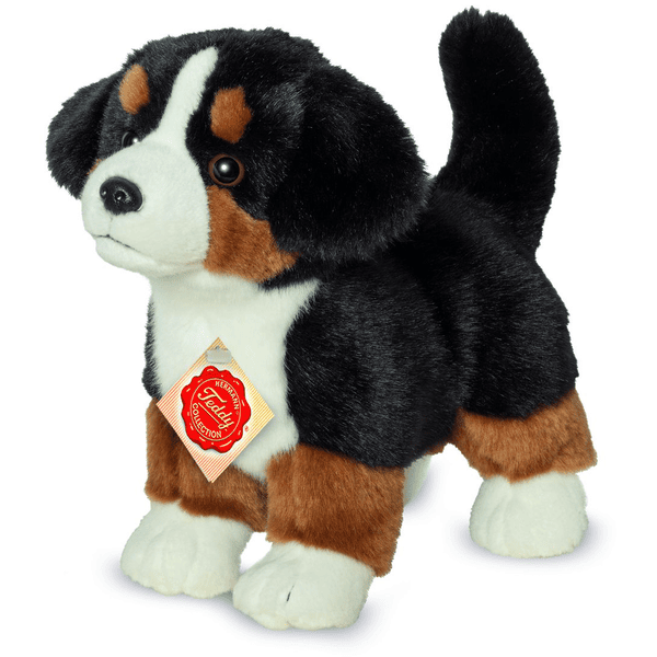 Bovaro del cheap bernese peluche