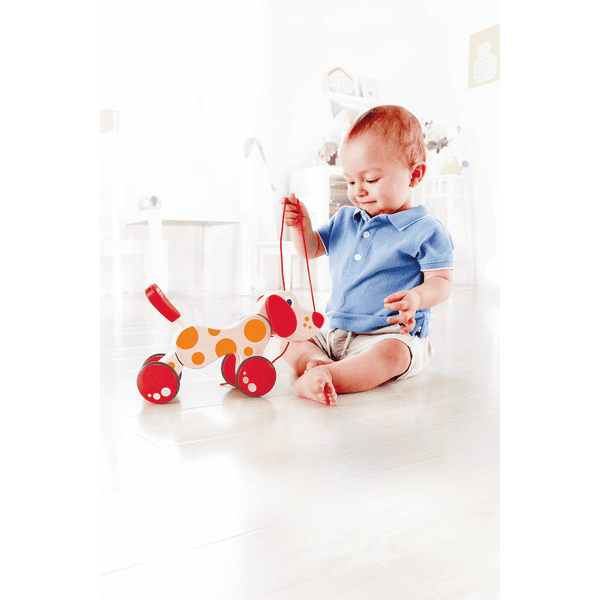 Hape puppy 2024