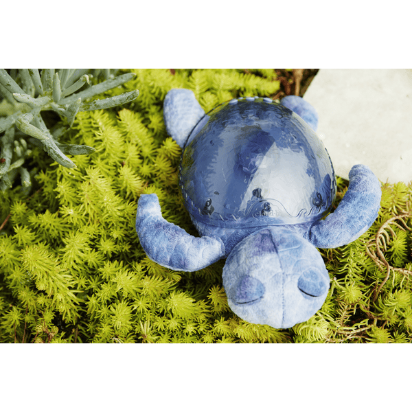 Veilleuse Tranquil Turtle CLOUD B bleu - Cloud B