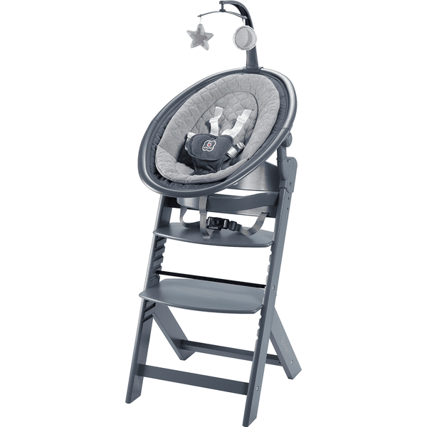 babyGO Pack chaise haute évolutive enfant transat nouveau-né Family bois Grey/Grey