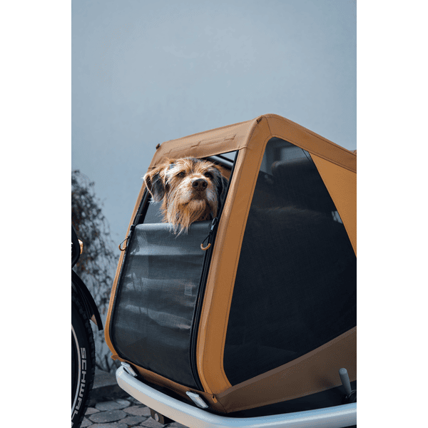 Carrello trasporto cani Dog 1 - Vendita Rimorchi
