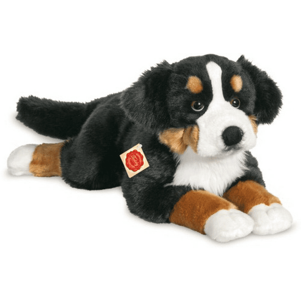 HERMANN® Teddy Berner-berninpaimenkoira, makaava, 60 cm