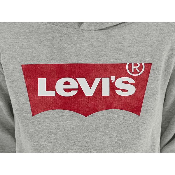 Levi's® Kids sweat à capuche garçon gris clair