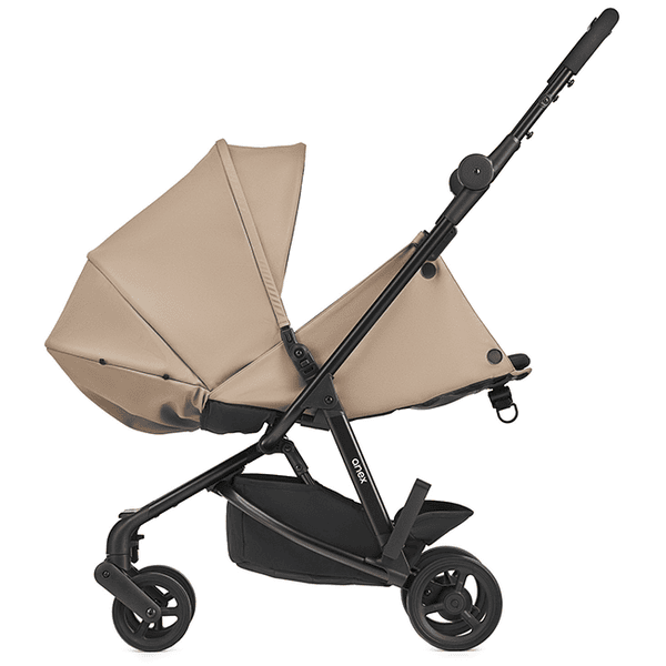 Anex buggy 2025