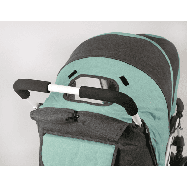 Chic 4 on sale baby double pram