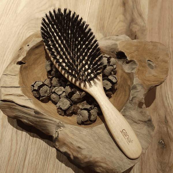 Brosse cheveux en bois, poils naturel de sanglier achat vente