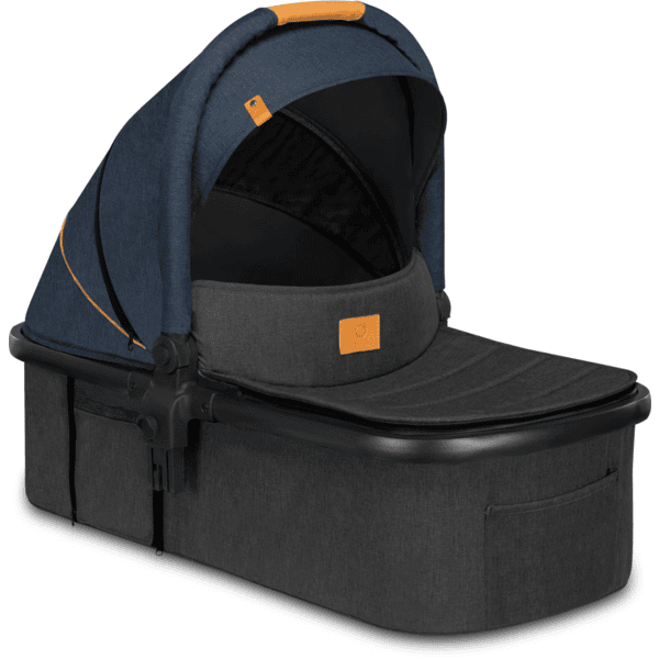 Lionelo amber passeggino 2in1 duo passeggino da 0 fino a 48 mesi con seduta  sec