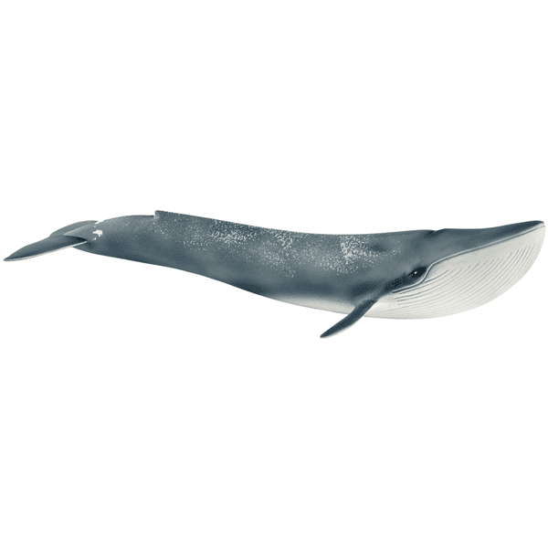 Schleich Figurine baleine bleue 14806