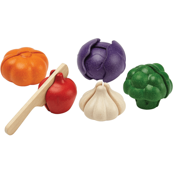 PlanToys Set de légumes 5 couleurs 