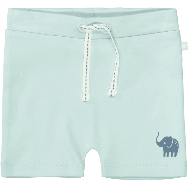 STACCATO Shorts soft mint
