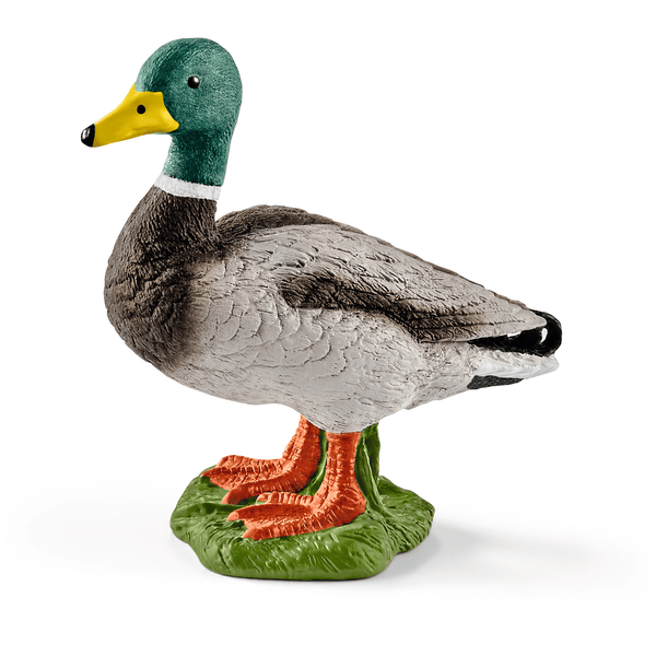 schleich® Erpel 13824