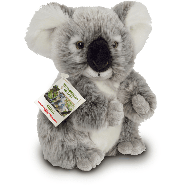 Koala teddy on sale