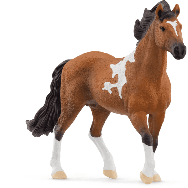 schleich® Mangalarga Marchador Hengst 13978