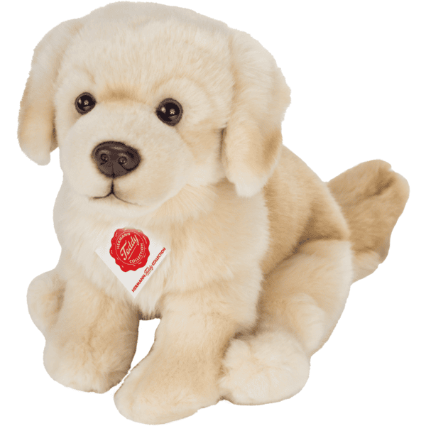 Teddy HERMANN ® kultainennoutaja istuu 25 cm