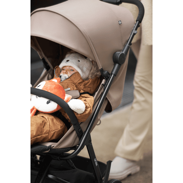 Anex buggy outlet