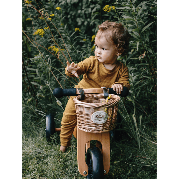 Tricycle évolutif Draisienne en bois Tiny Tot Plus 12 Rose