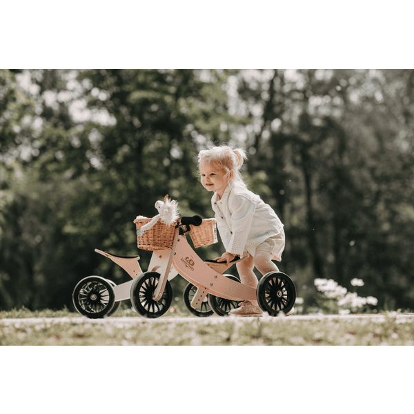 Tricycle évolutif Draisienne en bois 2 en 1 Tiny Tot Plus 12 Bleu