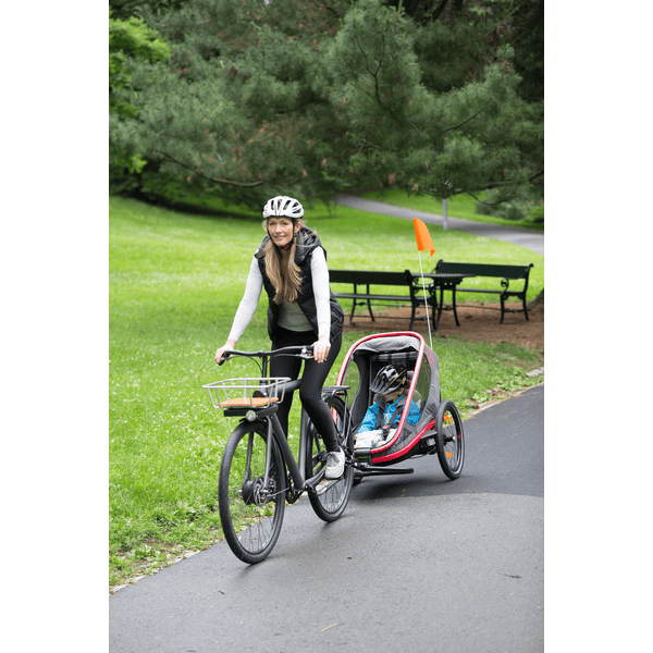 remolque bicicleta niños