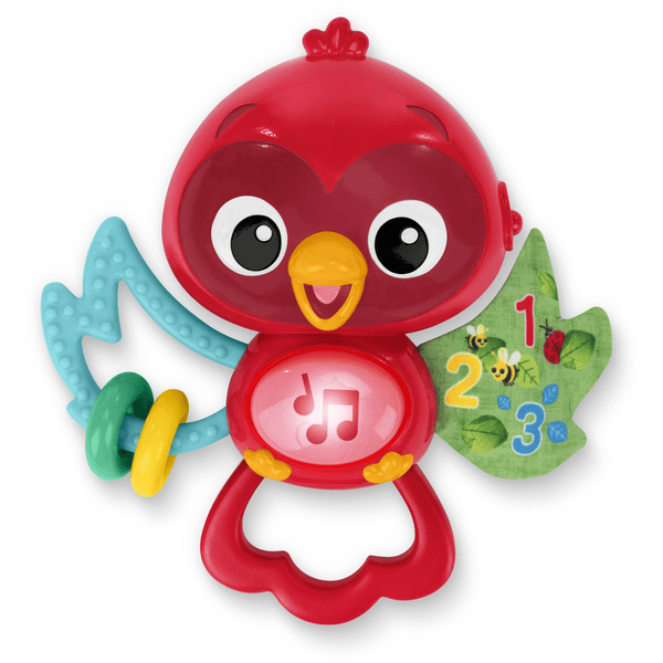 Baby Einstein Bright Juguete musical Roxy's Flight