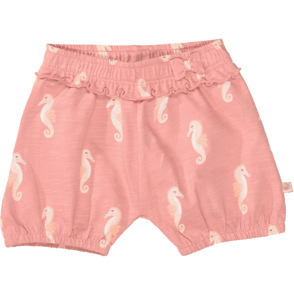 Staccato Shorts lobster gemustert