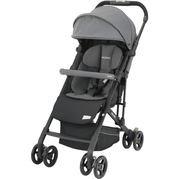 RECARO Buggy Easylife Elite 2 Prime Silent Grey