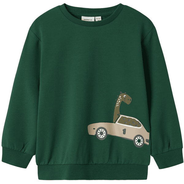 name it Nmmbarlas Eden sweatshirt