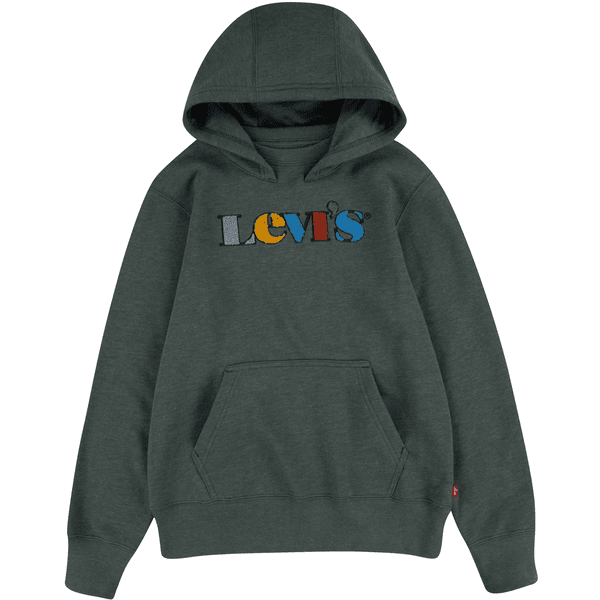 Levi's® Kids Hoodie mørkegrøn