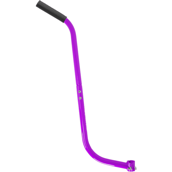 PROMETHEUS BICYCLES® Canne pour vélo enfant violet