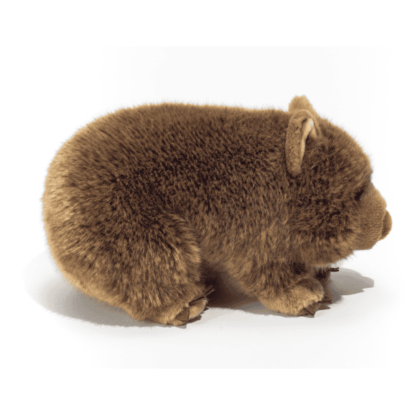 Peluche wombat clearance