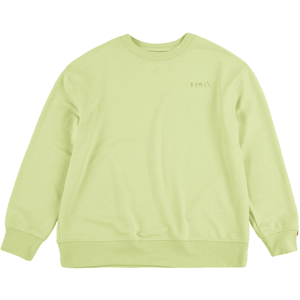 Levi's® Kids Sweatshirt Nile Green 