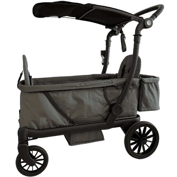 https://img.babymarkt.com/isa/163853/c3/detailpage_desktop_600/-/f1446d8308c94df9847df04fd0ad7a30/kettler-chariot-de-transport-enfant-pliable-compact-anthracite-a388996