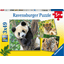 Ravensburger Panda, Tiger og løve