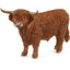 Schleichin maatilamaailma - Highland Bull 13919