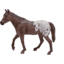 Mojo Horse s - stallone Appaloosa castagna 