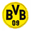 BVB Kissen rund